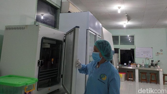 Ruang isolasi