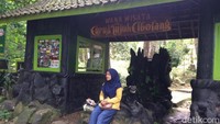 Terletak di kaki Gunung Sawal di Desa Sandingtaman curug ini juga dikenal sebagai Curug Tujuh Cibolang (Dadang Hermansyah/detikTravel)
