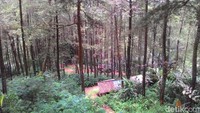 Untuk menuju lokasi curug pertama, wisatawan harus berjalan kaki dari pintu masuk jaraknya sekitar beberapa ratus meter. Pengunjung diharuskan mendaki tangga batu yang cukup tinggi (Dadang Hermansyah/detikTravel)