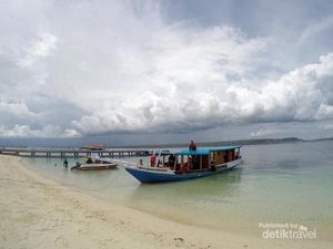 Mau Berenang Bareng Penyu Raksasa, Ini Lokasinya