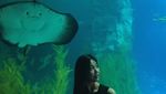 Foto: Gaya Liburan Miss Korea 2017 yang Hobi Surfing