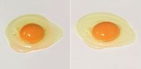 Ayo Tebak Mana Lukisan Telur dan Telur Mentah Asli Ayo Tebak Mana Lukisan Telur dan Telur Mentah Asli