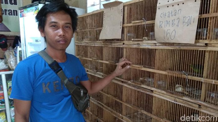 Pakar Kicau Mania Berbagi Tips Jadi Juara