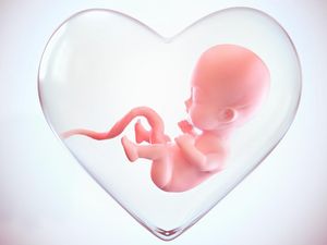 Fakta-fakta tentang Plasenta, Tali Kehidupan Bayi Saat di Perut Ibu