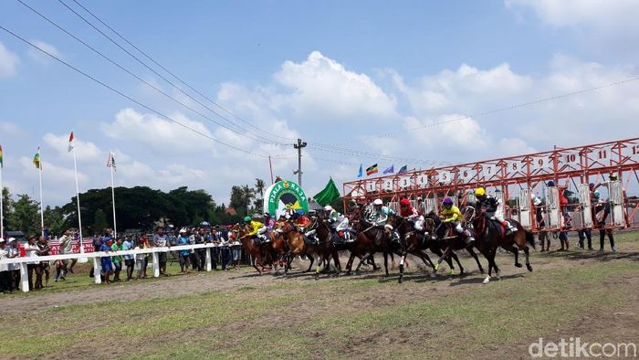 Serunya Kejuaraan Pacuan Kuda Jogja Derby 2018 Di Bantul