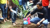 Begini momen Anies saat menanam buah salak di bantaran sungai Ciliwung, Jakarta, Minggu (11/11/2018).
