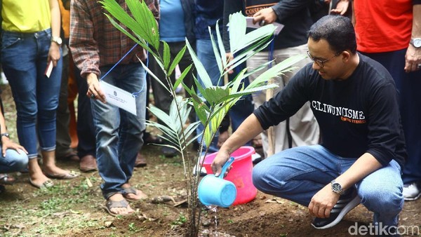 Momen Anies Tanam Buah Salak di Hari Ciliwung
