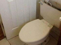 Tak Menipu Mata, Deretan Gambar Ini Bikin Pusing Kepala