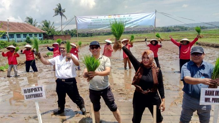 Foto: kementan Foto: kementan