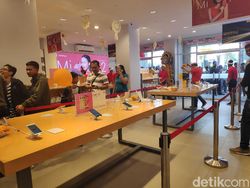 Menjelajahi Surga Mi Fans di Bali