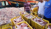 Terlihat sedang mampir ke Pasar Ikan, Sandiaga Uno pun blusukan sambil menyapa para nelayan dan juga pedagang yang berjualan di sini. Foto: Instagram @sandiuno