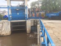 Masuki Musim Hujan, Penjaga Pintu Air Manggarai Siaga