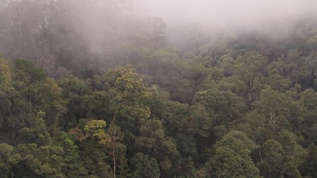 Gunung Leuser Gunung Leuser