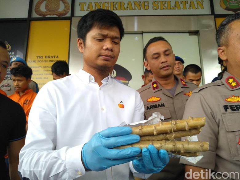 Batang Singkong Ini Dipercaya Perampok Jadi Jimat Pelindung Batang Singkong Ini Dipercaya Perampok Jadi Jimat Pelindung