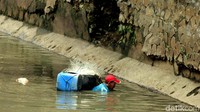 Ikan sapu-sapu tersebut kemudian dijual dengan harga Rp 12 ribu per kilogram.