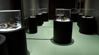 Seperti namanya, The Frog Museum berisikan kodok. Museum ini didirikan oleh petugas jaga eksentrik, Francois Perrier pada tahun 1850. Perrier memiliki kecintaan terhadap kodok. (REUTERS/Denis Balibouse)