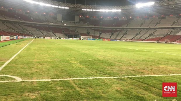 Kondisi rumput SUGBK jelang Timnas Indonesia vs Timor Leste.