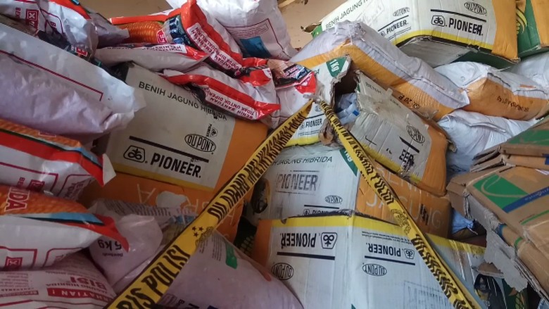 Penyelundup 2,8 Ton Bibit Jagung Pemerintah Ditangkap di Bone Penyelundup 2,8 Ton Bibit Jagung Pemerintah Ditangkap di Bone