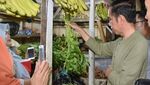 Blusukan ke Pasar Cihaurgeulis, Jokowi Belanja Ubi, Kangkung dan Bayam
