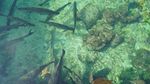 Foto: Pulau Terpadat Sedunia, Tanpa Kriminal & Polisi