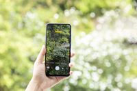 Anti Foto Gagal dengan Anti-Backlight AI HDR Vivo V11 Pro