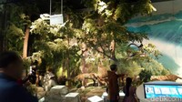 Foto: Chongqing Three Gorges Museum luasnya 42.497 m2. Ruang pamernya seluas 23.225 m2 dan menampung lebih dari 180 ribu koleksi, termasuk koin kuno, barang pecah belah dan produk sutra (Rita/detikTravel)