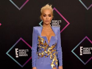 Rita Ora Pilih Bekukan Sel Telur Demi Masa Depannya