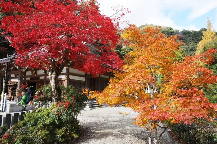 Taman nasional di Osaka
