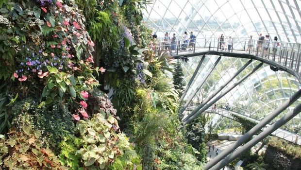Garden by the Bay Taman di Singapura