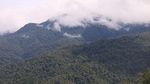6 Taman Nasional Indonesia yang Membuatmu Makin Mencintai Alam