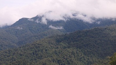 6 Taman Nasional Indonesia yang Membuatmu Makin Mencintai Alam