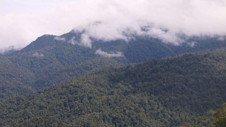Unduh 6000 Gambar Gunung Leuser Paling Bagus 