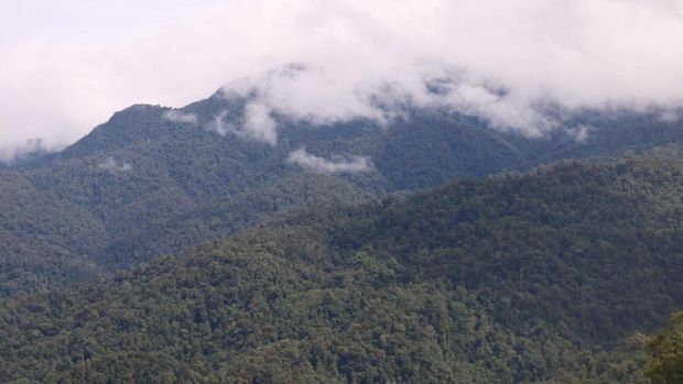Gunung Leuser Gunung Leuser.