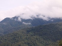 Fakta-fakta Aceh Selatan yang Bupatinya Umrah saat Rakyat Didera Banjir