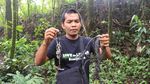 Foto: Indahnya Hutan Leuser yang Terus Dirusak