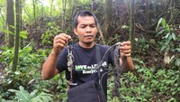 Selain perambahan hutan, perburuan satwa liar juga sangat tinggi di Leuser. Ketika menyusuri Kawasan Ekosistem Leuser, tim FKL juga menemukan jerat yang diduga dipakai untuk menjerat harimau. Lokasi jerat ini ditemukan di pinggir jalan. Tulang-tulang binatang yang diduga sebagai umpan untuk menangkap harimau berserakan.  