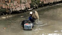 Dalam sehari, dengan bantuan jala dan ban karet dapat dikumpulkan 40 kilogram ikan yang akan dijadikan sebagai bahan campuran pembuatan siomay.