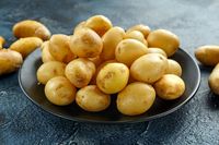 Agar Lebih Awet, Simpan Buah dan Sayur di Kulkas dengan Cara Ini 
