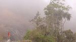 Foto: Indahnya Hutan Leuser yang Terus Dirusak