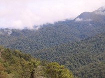Cegah Kebakaran Hutan, Pendakian ke TN Gunung Leuser Aceh Ditutup Sementara