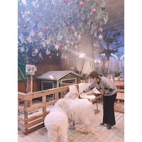 Catat! Ini Dia 6 Kafe Hipster yang Instagramable di Seoul