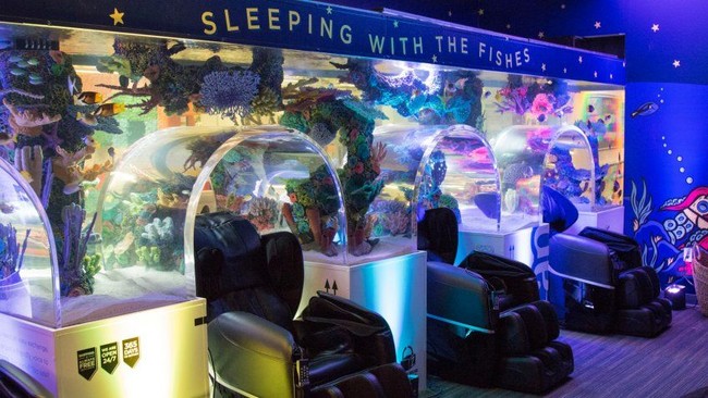 Tidur siang di kantor tidak membuat seorang pekerja terlihat malas. Jika tidak melalaikan pekerjaan, tak masalah untuk Anda memejamkan mata sejenak. Beberapa perusahaan bahkan menyedikan ruang tidur untuk mendukung para pegawainya bobo siang lebih nyaman. Tidur siang sendiri diketahui bisa mendorong kreatifitas dan produktivitas. Foto: Zappos