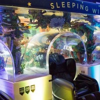 Tidur siang di kantor tidak membuat seorang pekerja terlihat malas. Jika tidak melalaikan pekerjaan, tak masalah untuk Anda memejamkan mata sejenak. Beberapa perusahaan bahkan menyedikan ruang tidur untuk mendukung para pegawainya bobo siang lebih nyaman. Tidur siang sendiri diketahui bisa mendorong kreatifitas dan produktivitas. Foto: Zappos