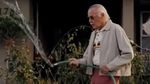 Foto: Lokasi-lokasi Cameo Stan Lee di Film Marvel
