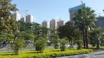 Foto: Nanning, Si Hijau Cantik dari China