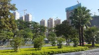 Berlokasi di bagian barat daya Guangxi, kota cantik ini menjadi pintu gerbang yang menghubungkan China tenggara dan China barat daya. (Rita/detikTravel)