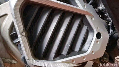 Radiator Motor