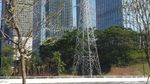 Foto: Nanning, Si Hijau Cantik dari China