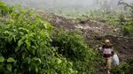 Hujan Deras Sebabkan Tanah Longsor di Kabupaten Sukabumi