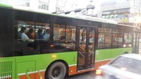 Nanning hanya memiliki dua musim yakni musim panas dan musim dingin dan bebas dari salju sepanjang tahun. Rata-rata temperatur tiap tahun adalah 21,6 derajat Celcius. (Rita/detikTravel)